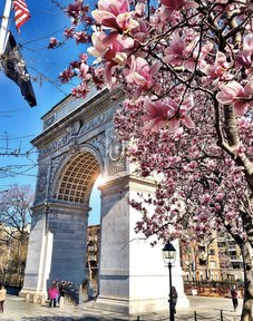 Washington Square Park